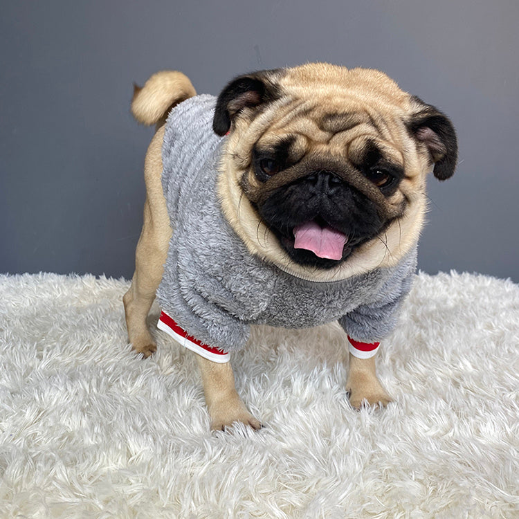 Comfortable Pet Sweater