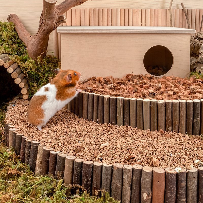 Oak Cork Hamster Digging Landscaping Supplies