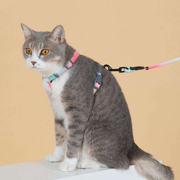 Cat Leash To Prevent Breaking Free