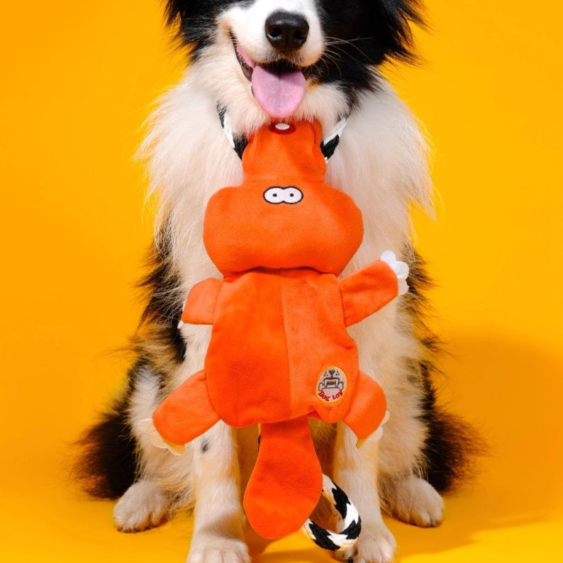 Bichon Medium Large Dog Molar Sound Toys