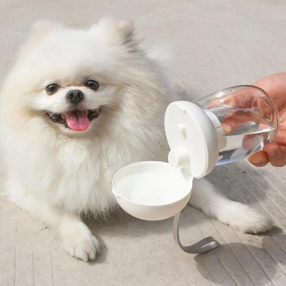 Portable Pet Water Bottle Outdoor Feeding Bowl