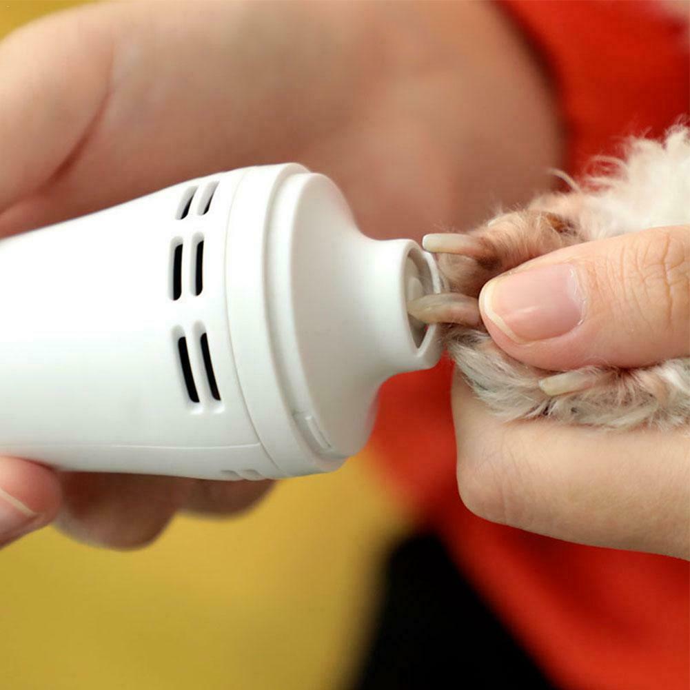 Person using a white pet grooming tool on a dog's nail with a blurred background