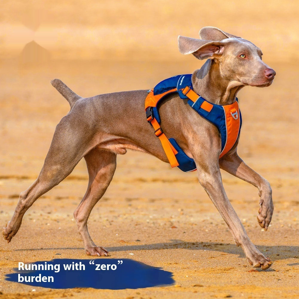 Hand Leash New Dog Chest Strap