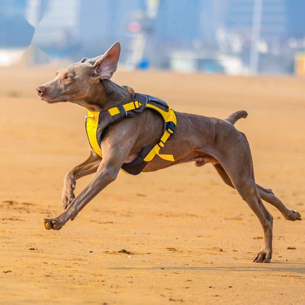 Hand Leash New Dog Chest Strap