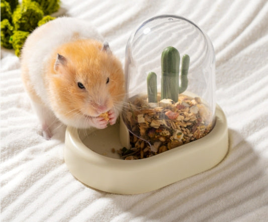 Hamster Creative Cactus Automatic Feeder