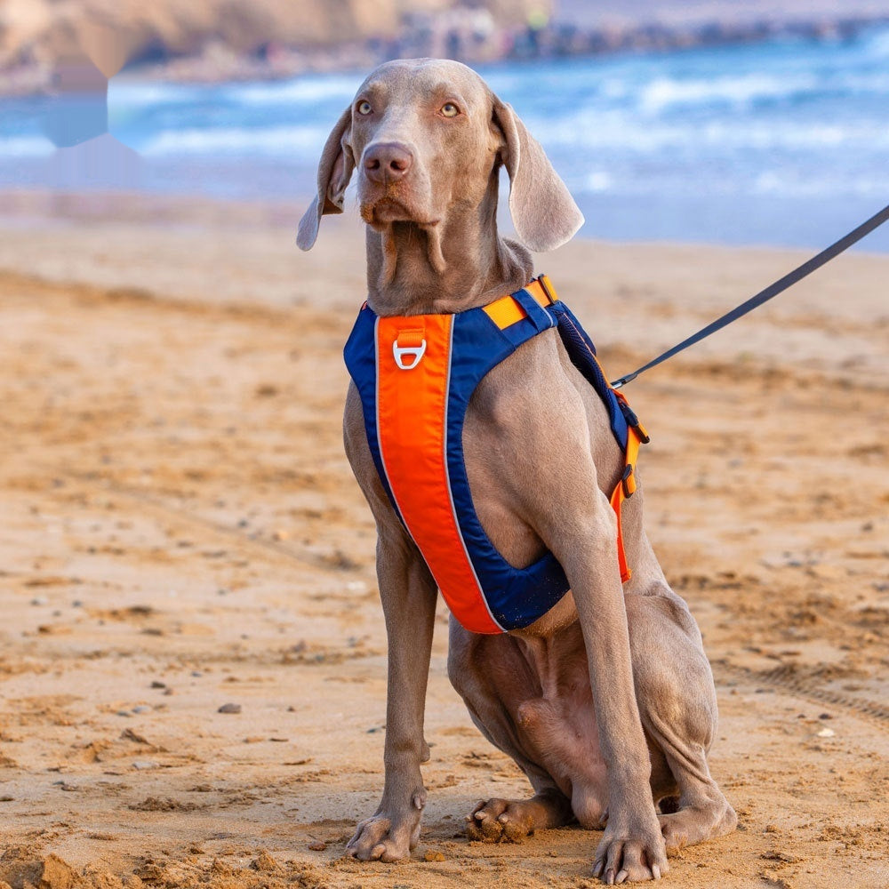 Hand Leash New Dog Chest Strap