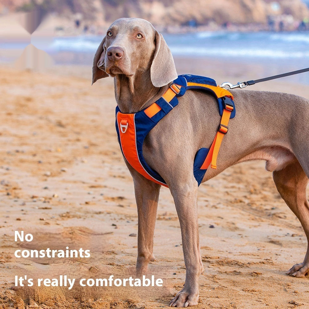 Hand Leash New Dog Chest Strap