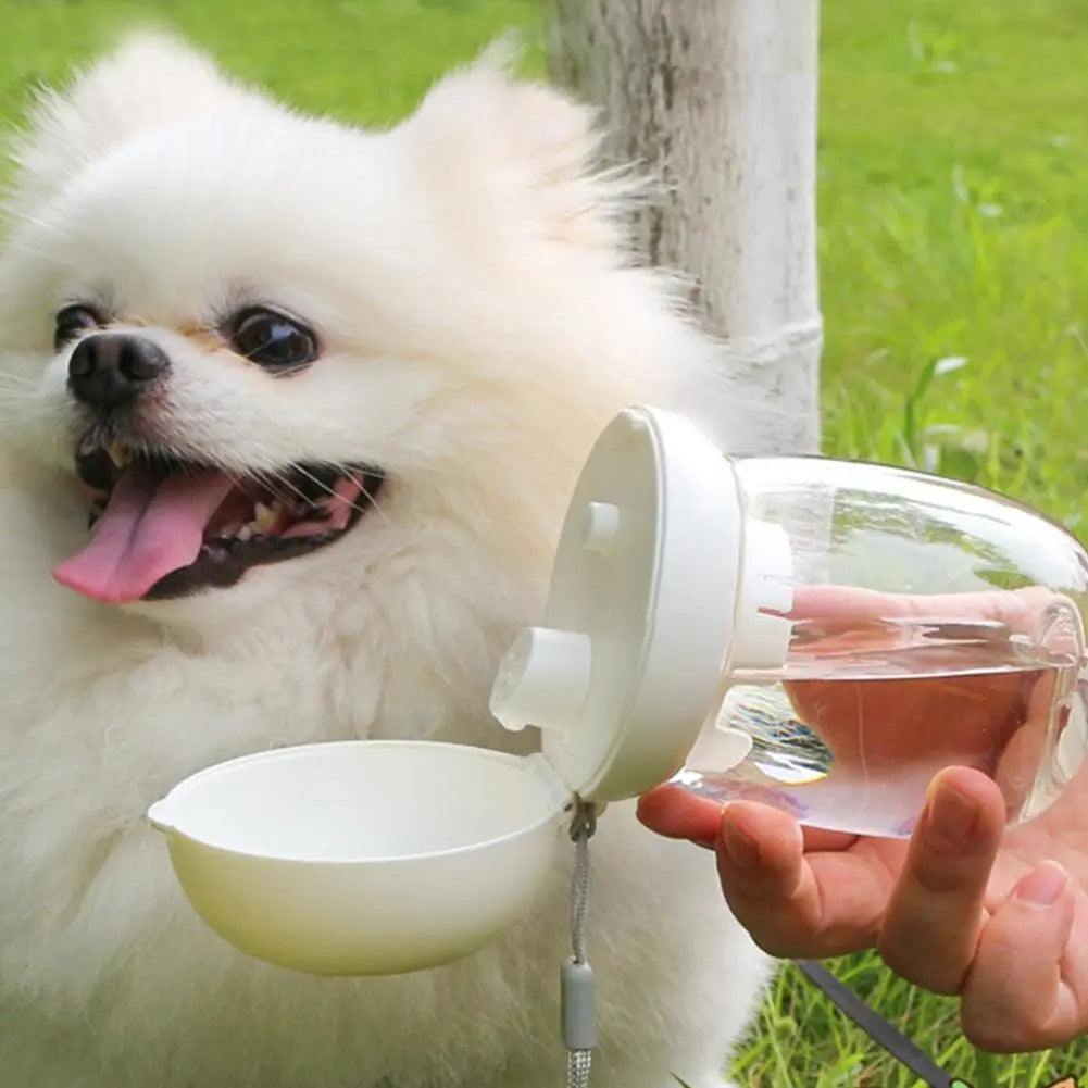 Portable Pet Water Bottle Outdoor Feeding Bowl