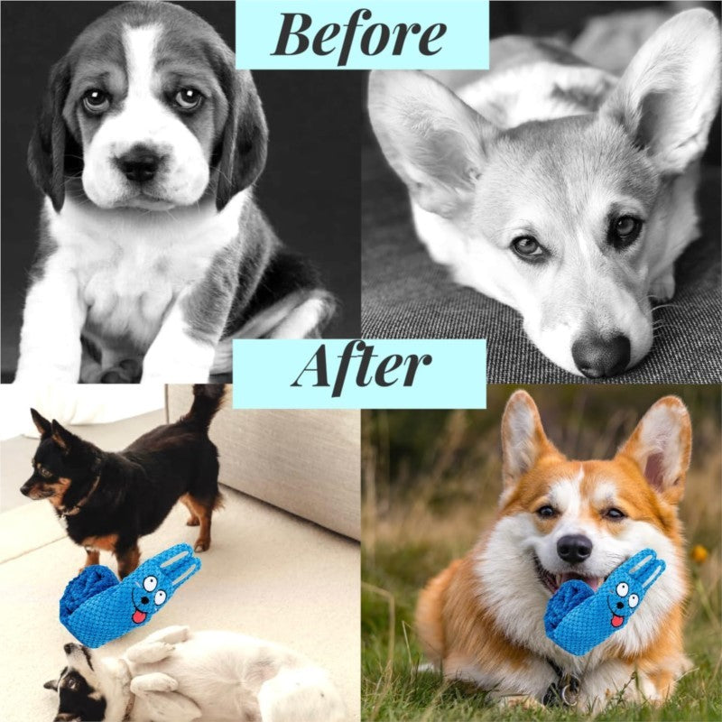 Interactive Plush Dog Toys