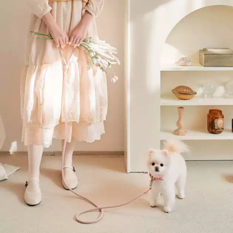 Dog Collar Leather Hand Holding Rope Leash