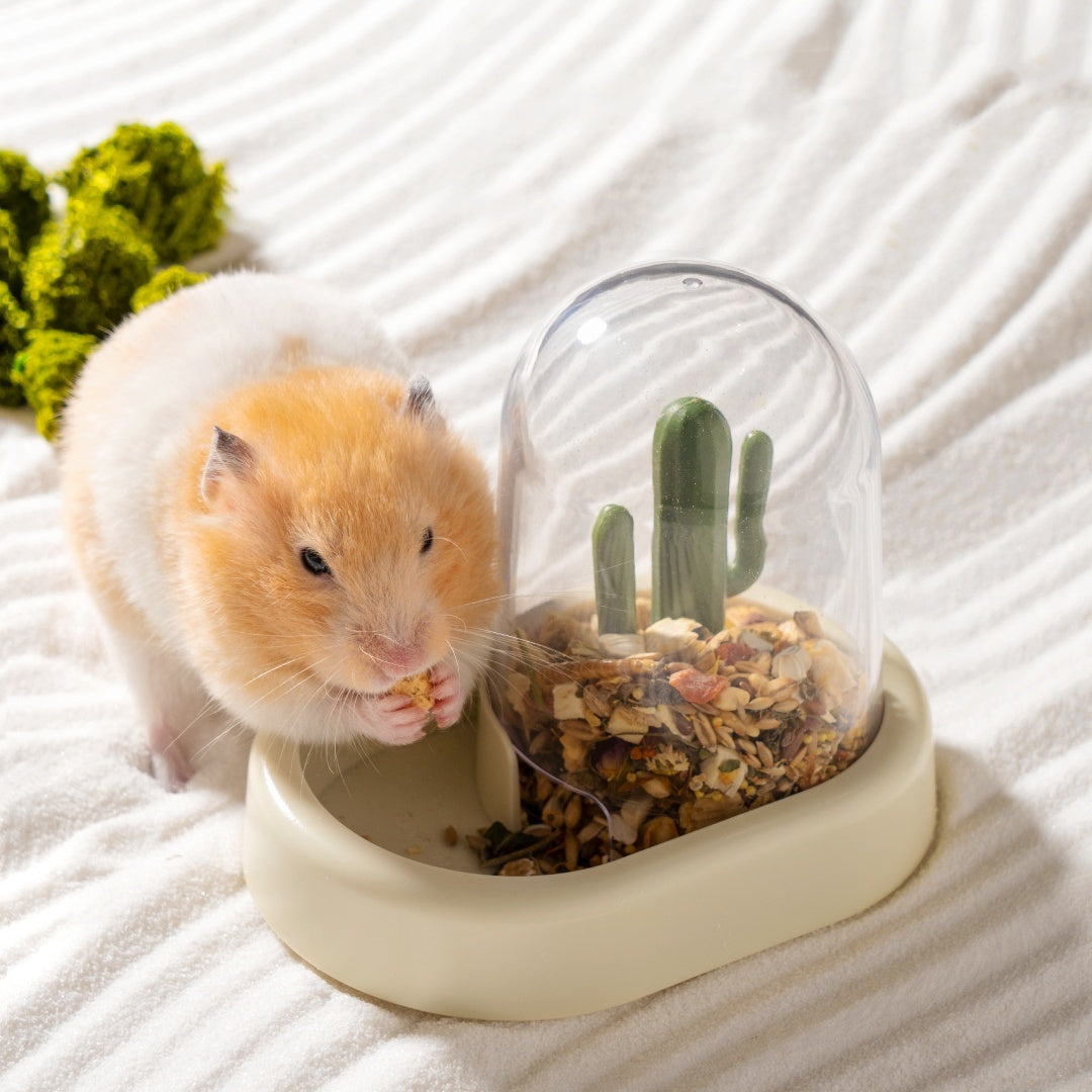 Hamster Creative Cactus Automatic Feeder