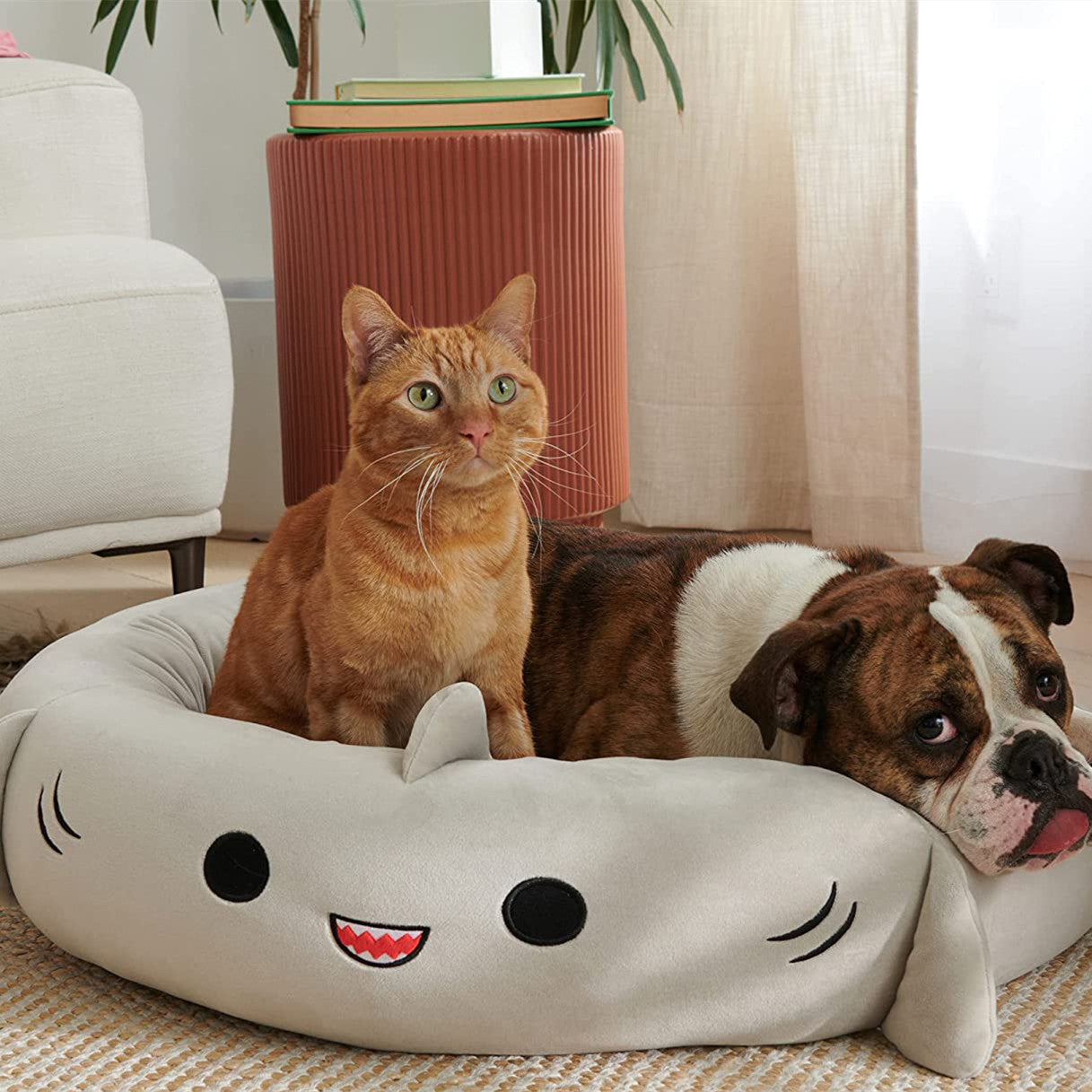 Super Soft Plush Bed